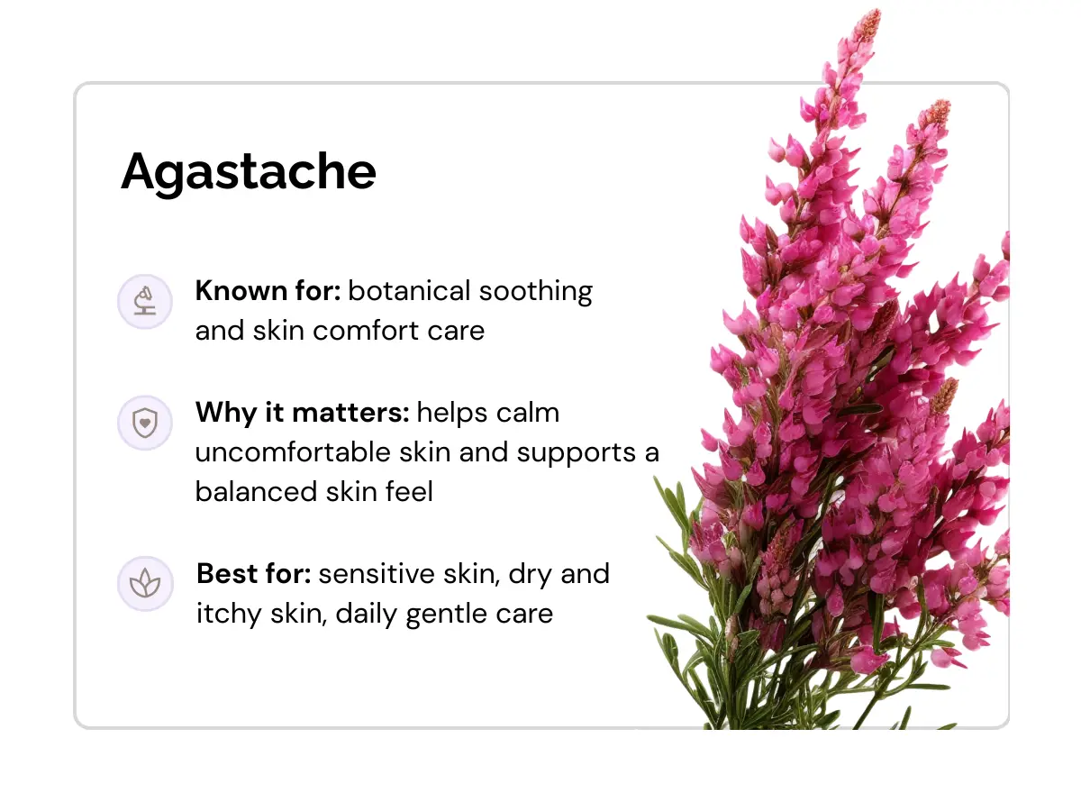 ingredients-agastache